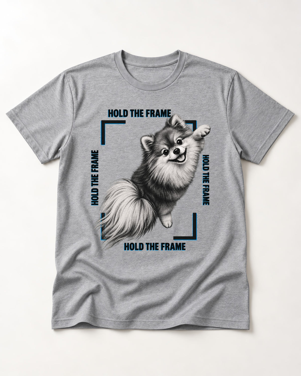 Hold the Frame Pomeranian T-Shirt in Sport Grey, flat lay product photo