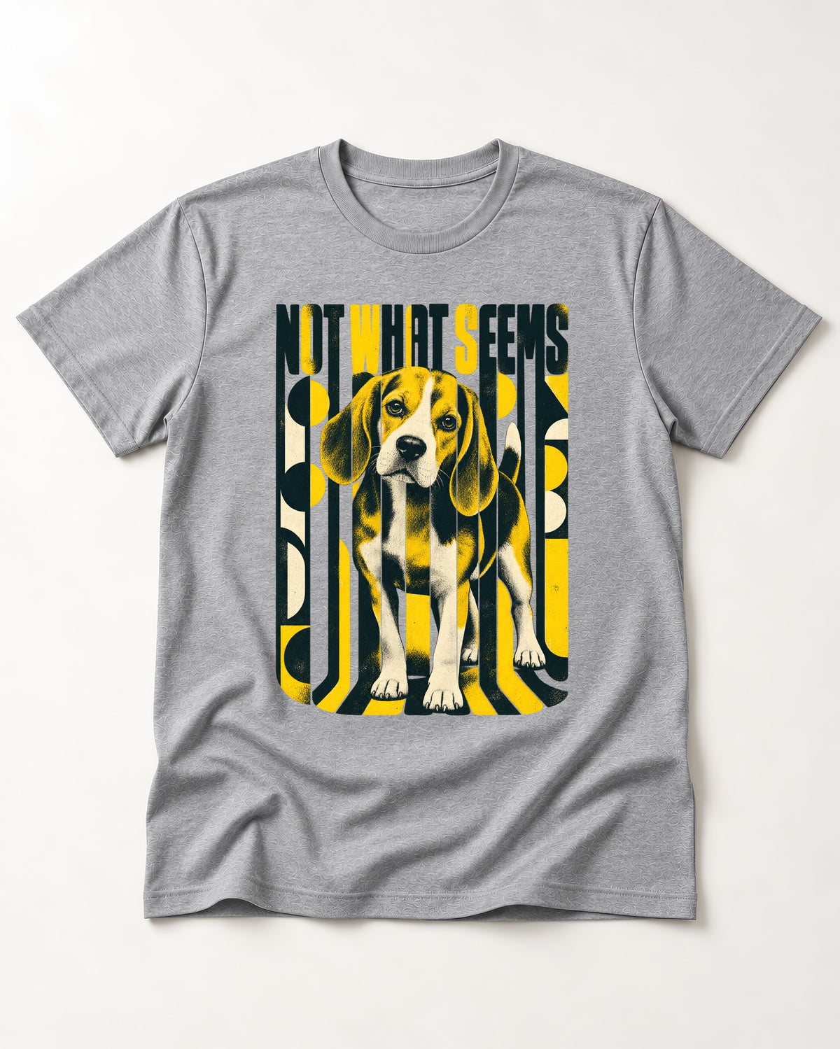 Not What It Seems Beagle T-Shirt in Sport Grey, flat lay product photo