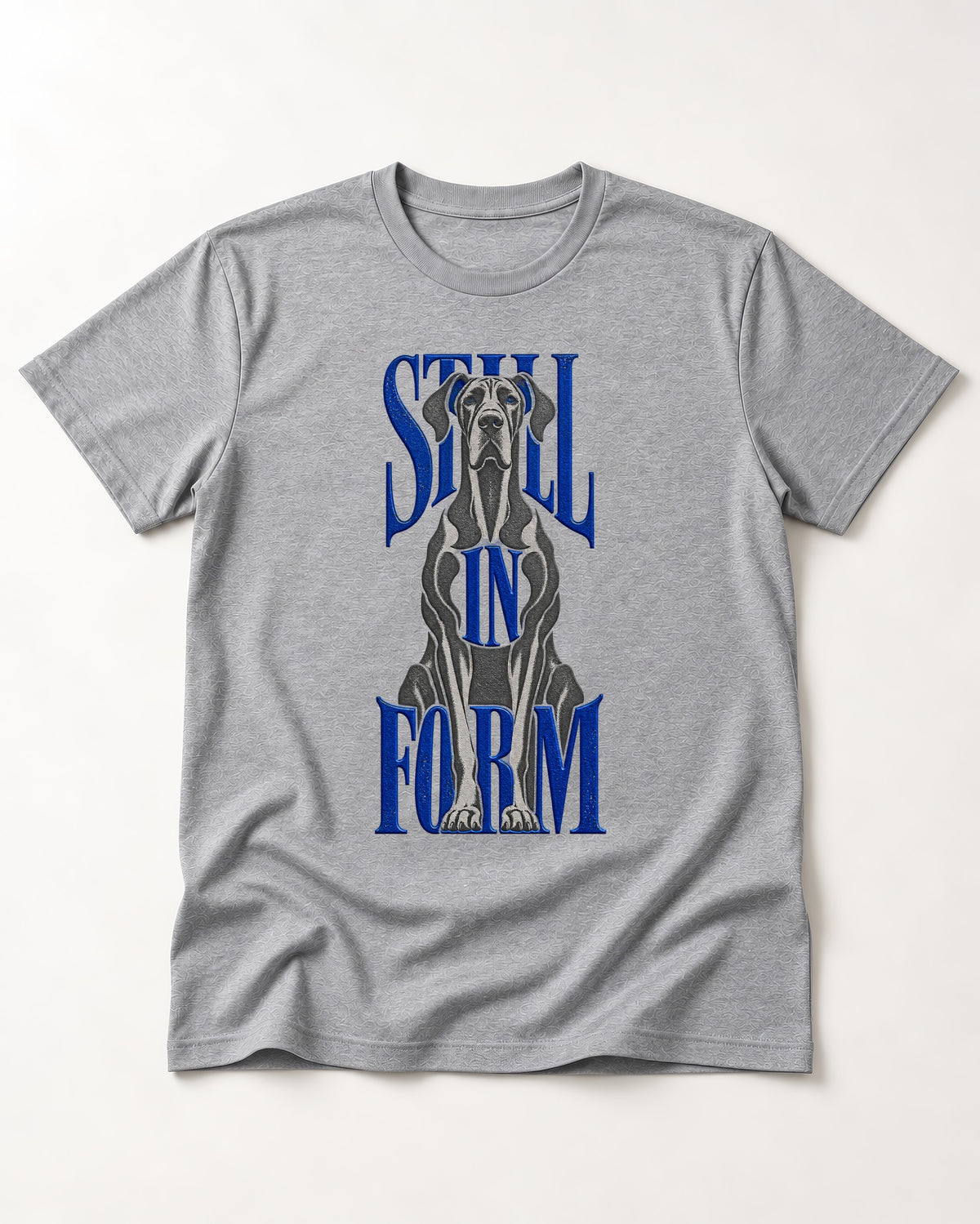 Still in Form Great Dane T-Shirt in Sport Grey, flat lay product photo