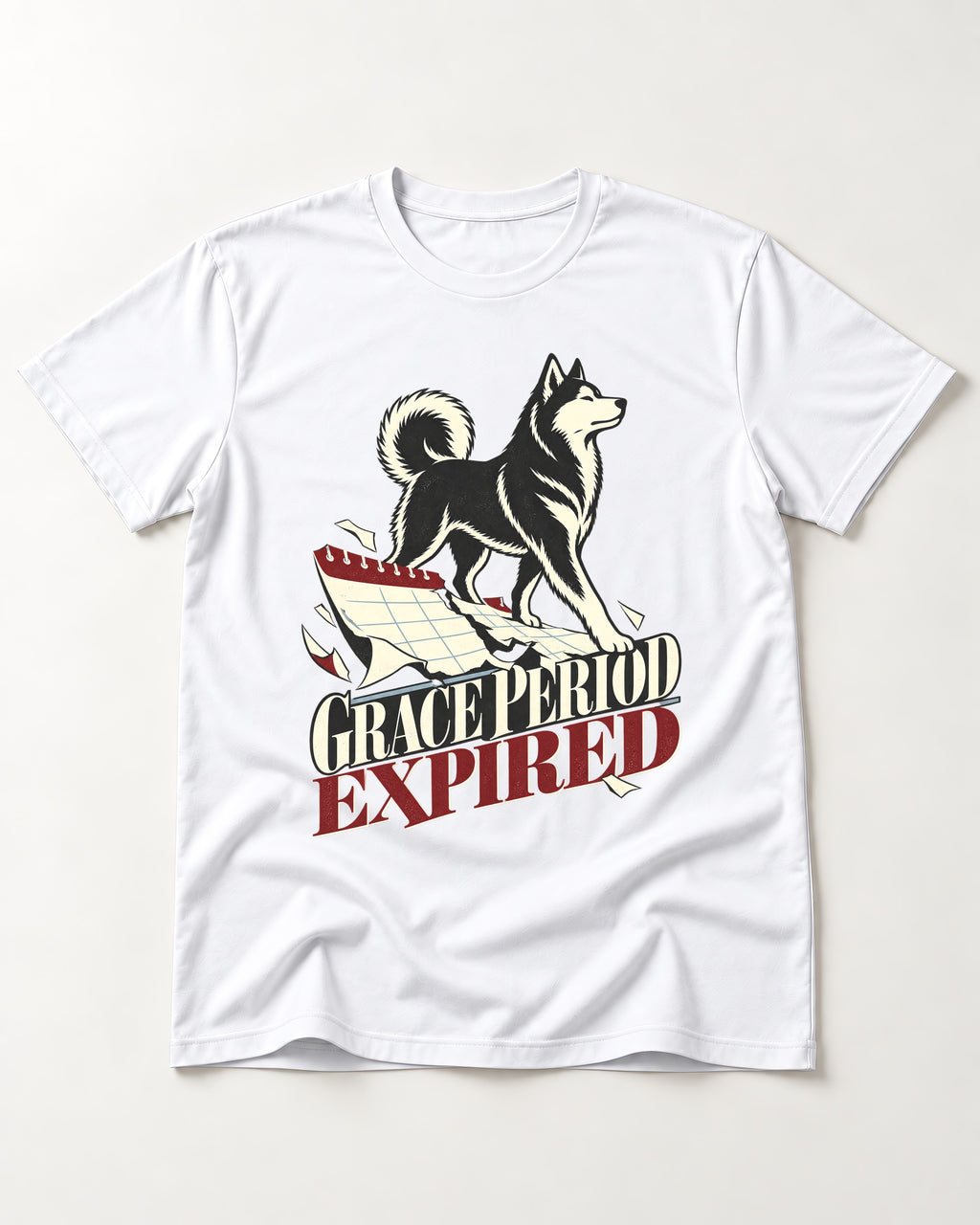 Husky Grace Period Expired Torn Calendar Graphic T-Shirt in White, flat lay product photo