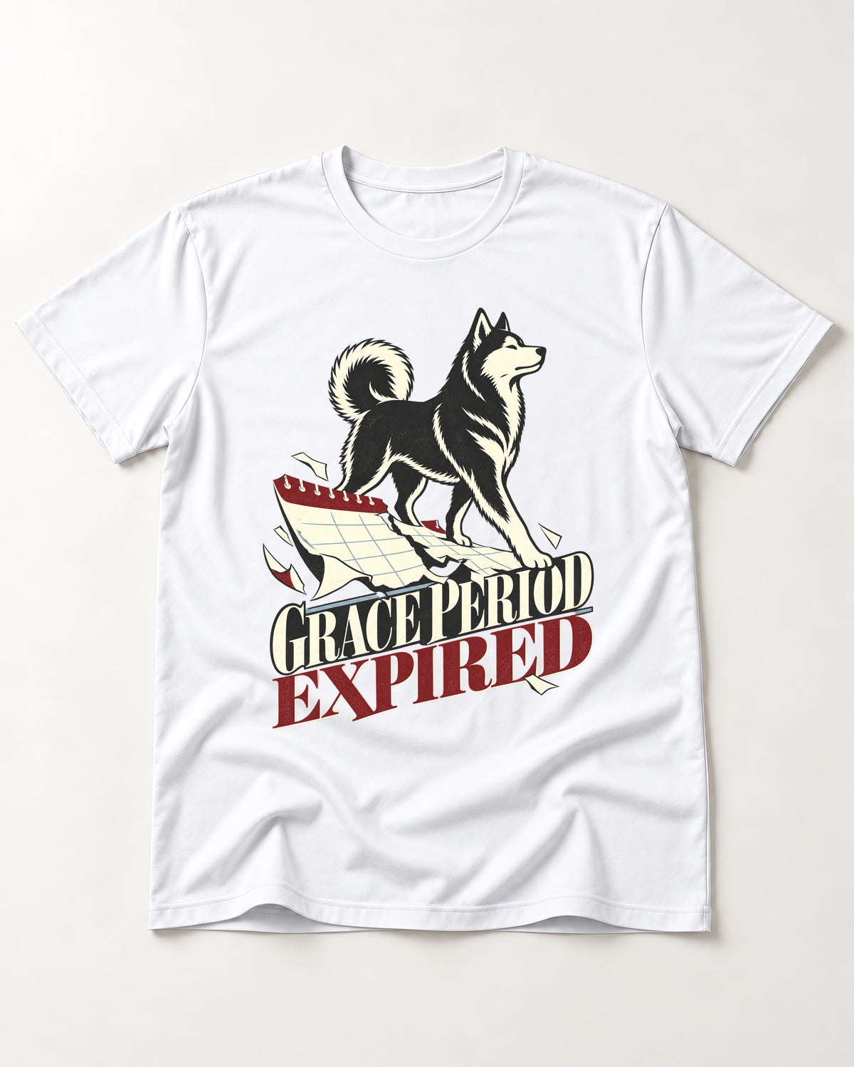 Husky Grace Period Expired Torn Calendar Graphic T-Shirt in White, flat lay product photo