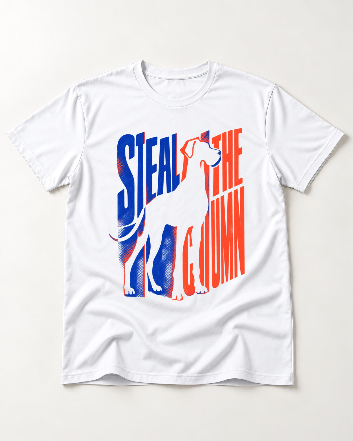 Steal the Show Great Dane T-Shirt in White, flat lay product photo