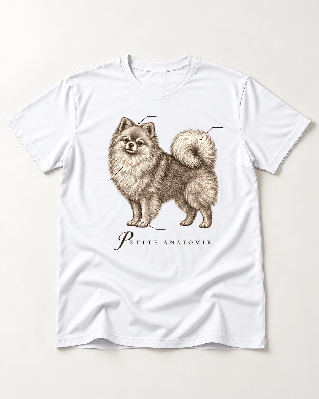 Pomeranian Petite Anatomie T-Shirt in White, flat lay product photo