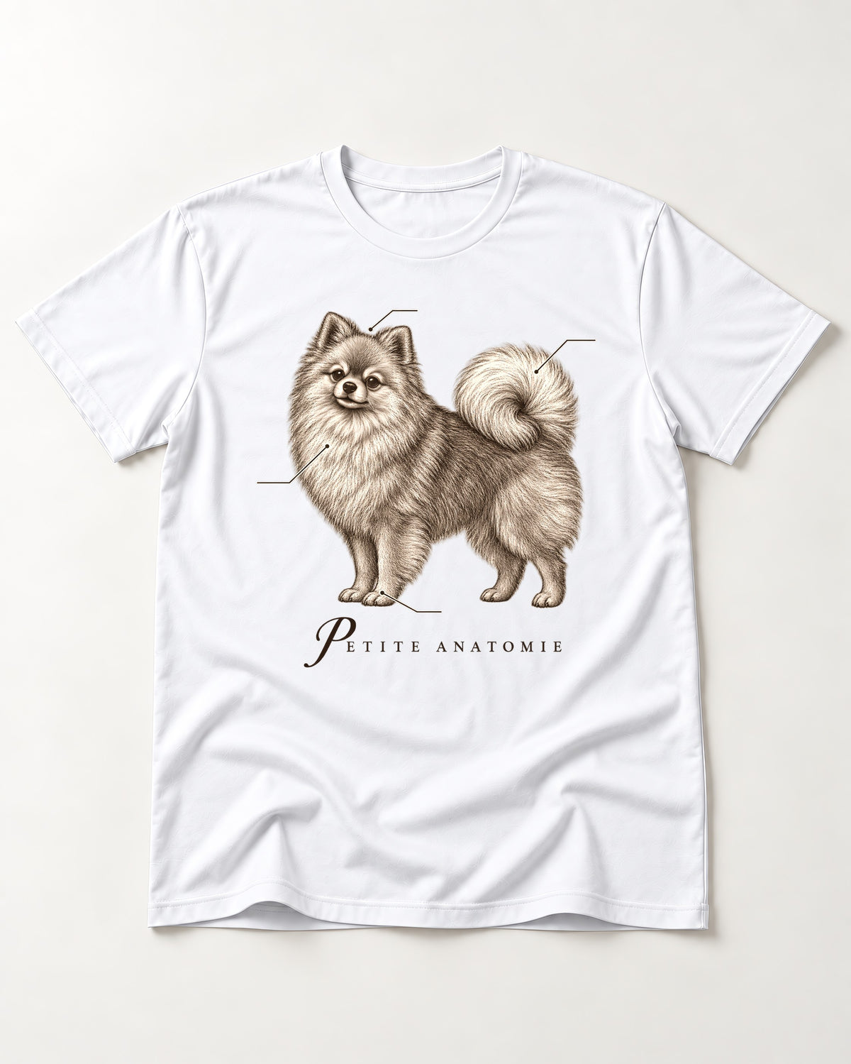 Pomeranian Petite Anatomie T-Shirt in White, flat lay product photo