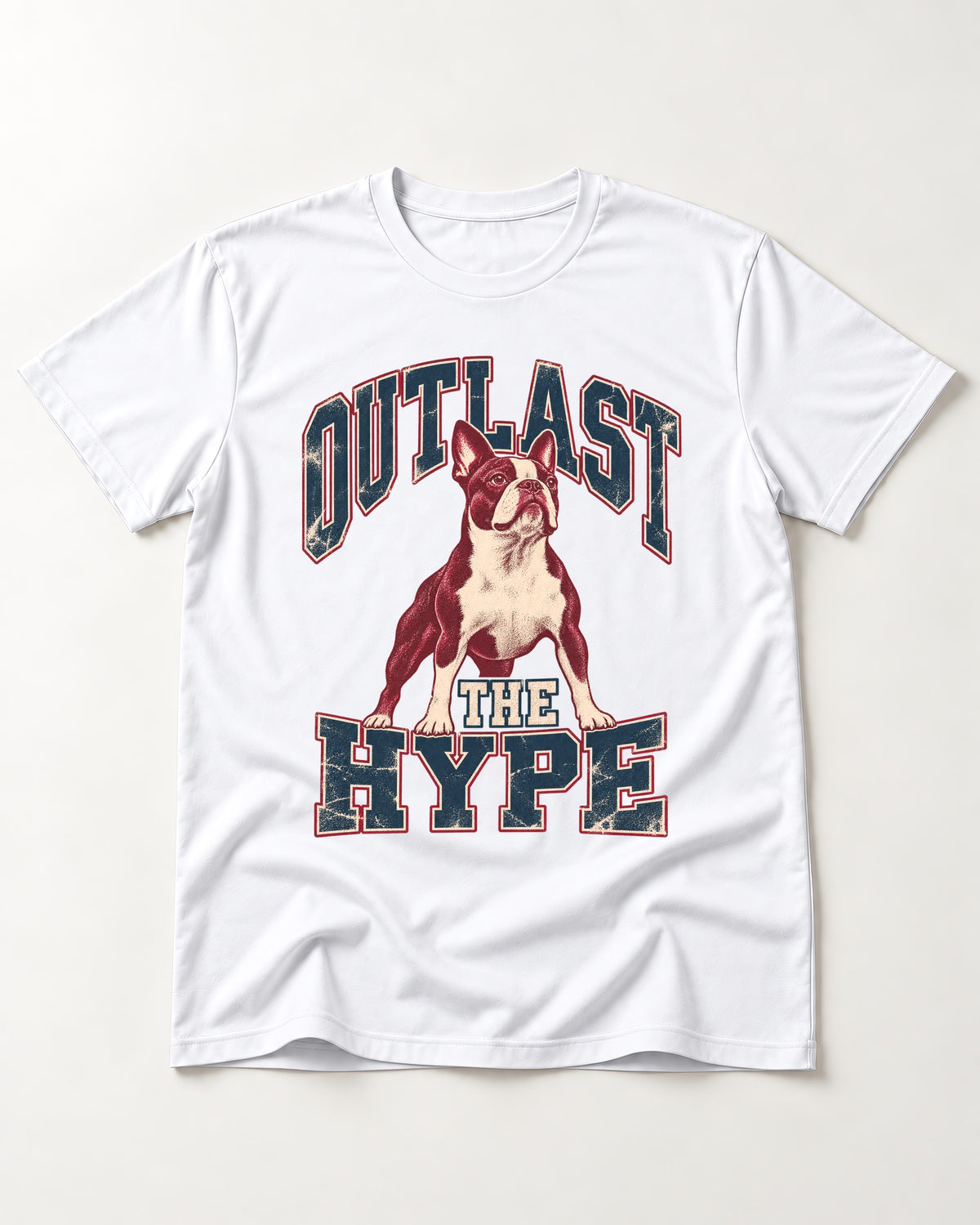 Boston Terrier Outlast The Hype Collegiate Graphic T-Shirt in White, flat lay product photo