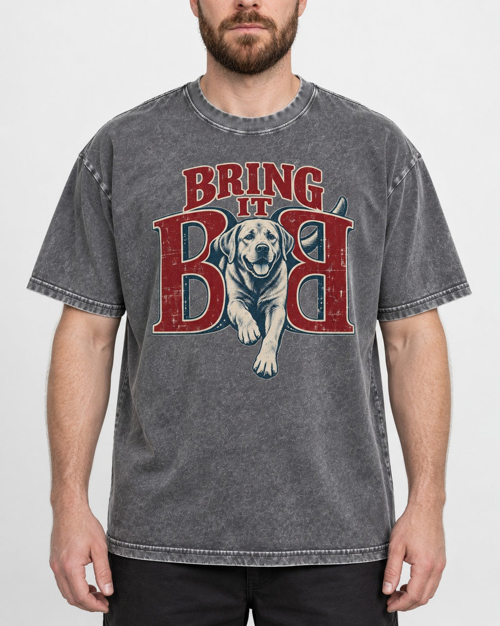 Labrador Retriever Bring It Opposing B Portrait Graphic Washed Tee in Gray, worn by a model, front view