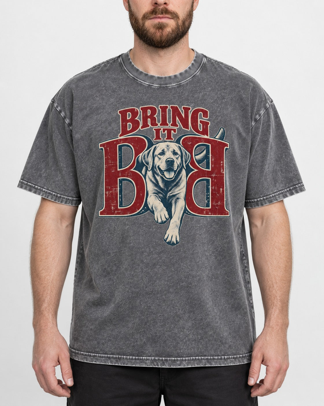 Labrador Retriever Bring It Opposing B Portrait Graphic Washed Tee in Gray, worn by a model, front view