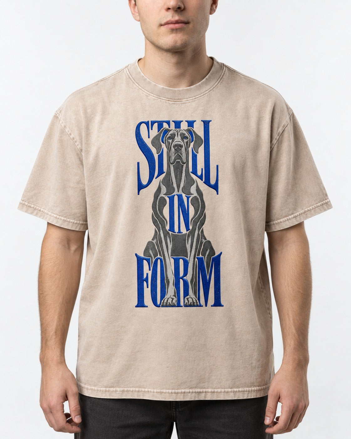 Still in Form Great Dane Washed Tee in Apricot, worn by a model, front view
