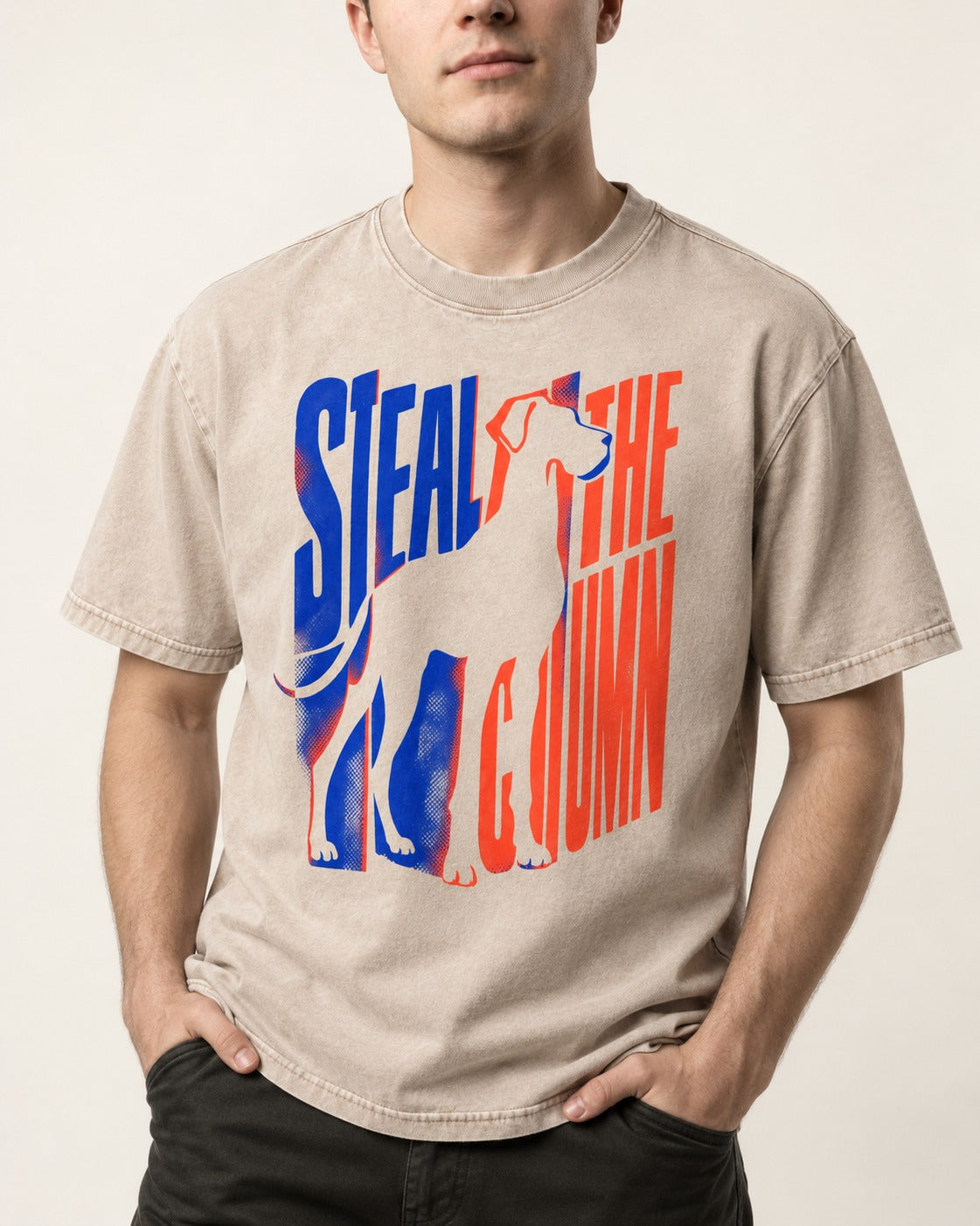 Steal the Show Great Dane Washed Tee in Apricot, worn by a model, front view
