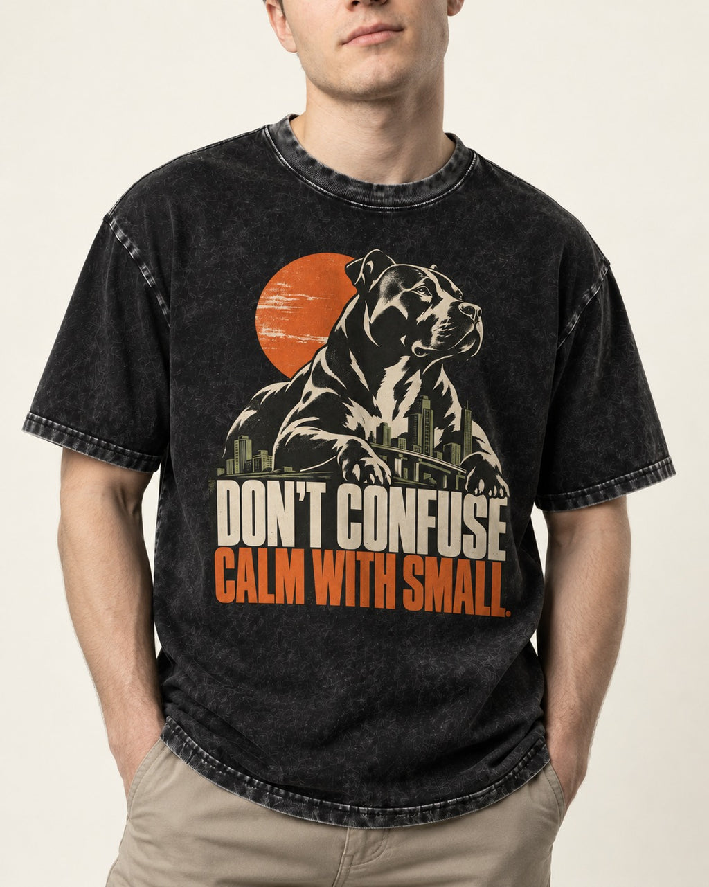 Pitbull Don't Confuse Calm with Small City Guardian Graphic Washed Tee in Black, worn by a model, front view