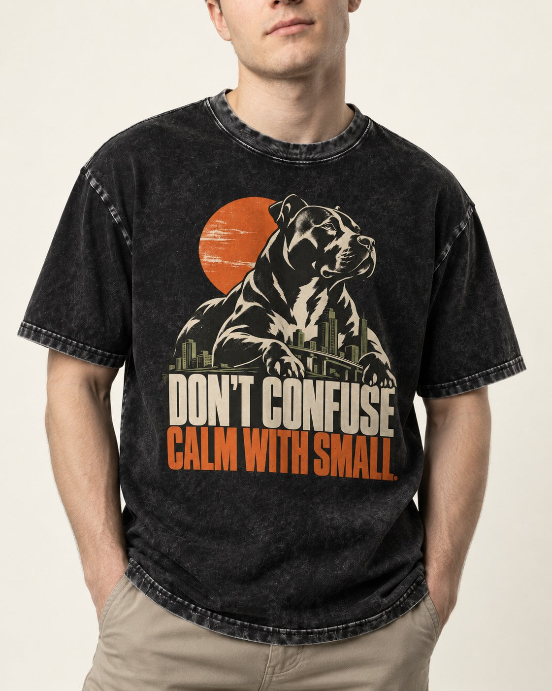 Pitbull Don't Confuse Calm with Small City Guardian Graphic Washed Tee in Black, worn by a model, front view