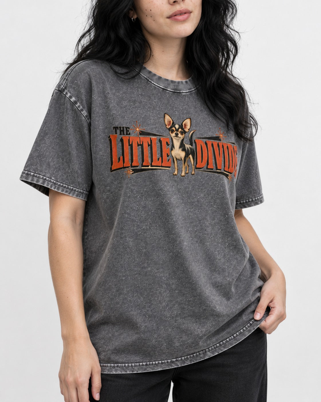 Chihuahua The Little Divide Retro Sign Graphic Washed Tee in Gray, worn by a model, front view
