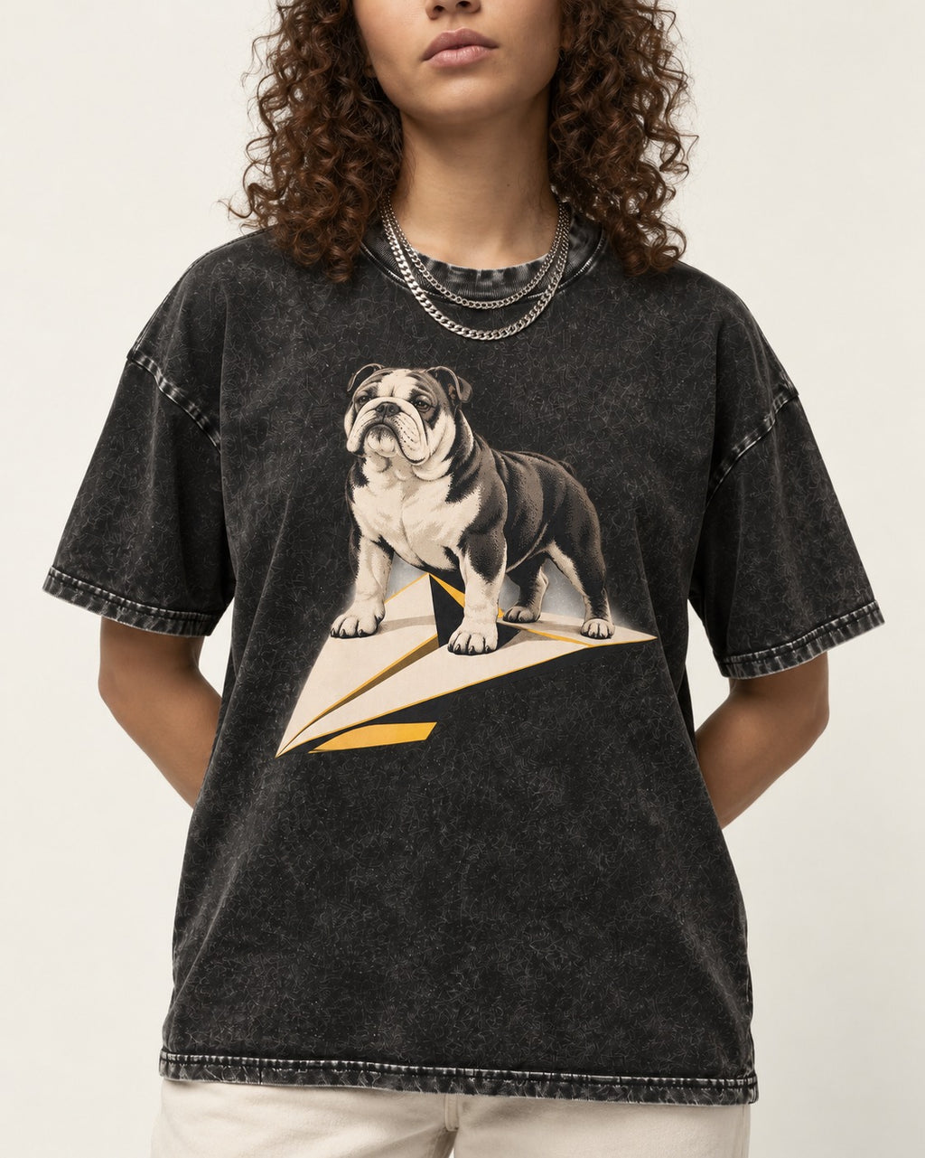 English Bulldog Paper Airplane Graphic Washed Tee in Black, worn by a model, front view