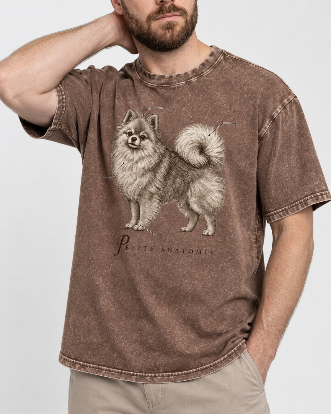Pomeranian Petite Anatomie Washed Tee in Coffee, worn by a model, front view