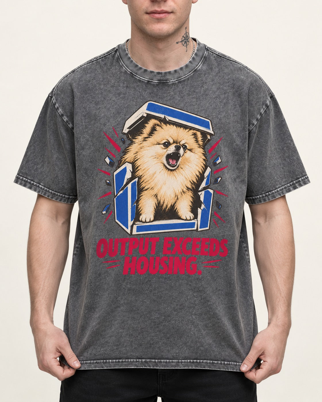 Pomeranian Output Exceeds Housing Bark Compression Graphic Washed Tee in Gray, worn by a model, front view