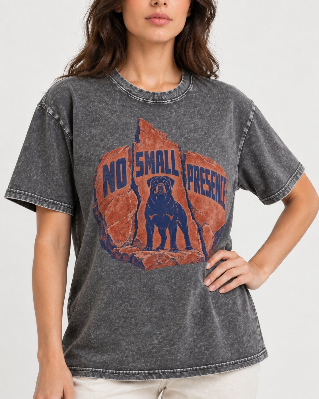 Rottweiler No Small Presence Monument Rock Graphic Washed Tee in Gray, worn by a model, front view