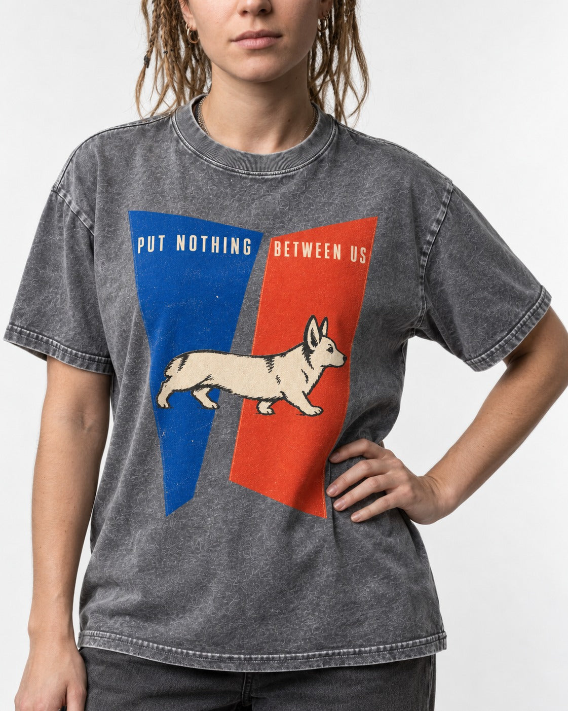 Corgi Put Nothing Between Us Split Panels Washed Tee in Gray, worn by a model, front view