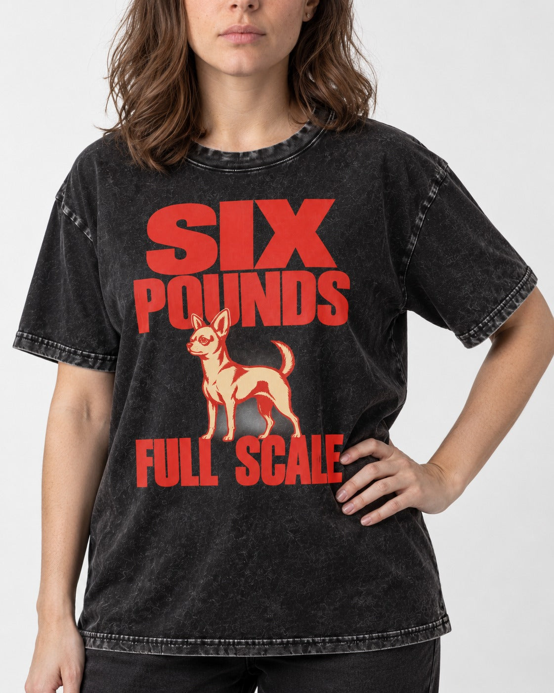 Chihuahua Six Pounds Full Scale Typographic Graphic Washed Tee in Black, worn by a model, front view