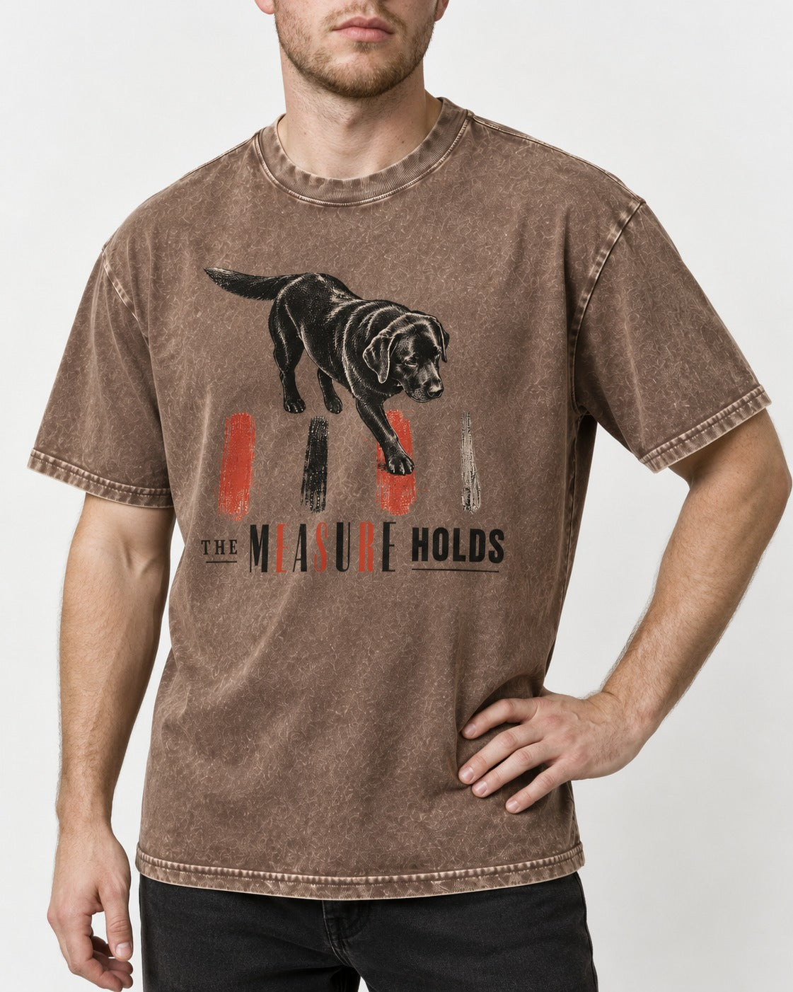 Labrador Retriever The Measure Holds Washed Tee in Coffee, worn by a model, front view