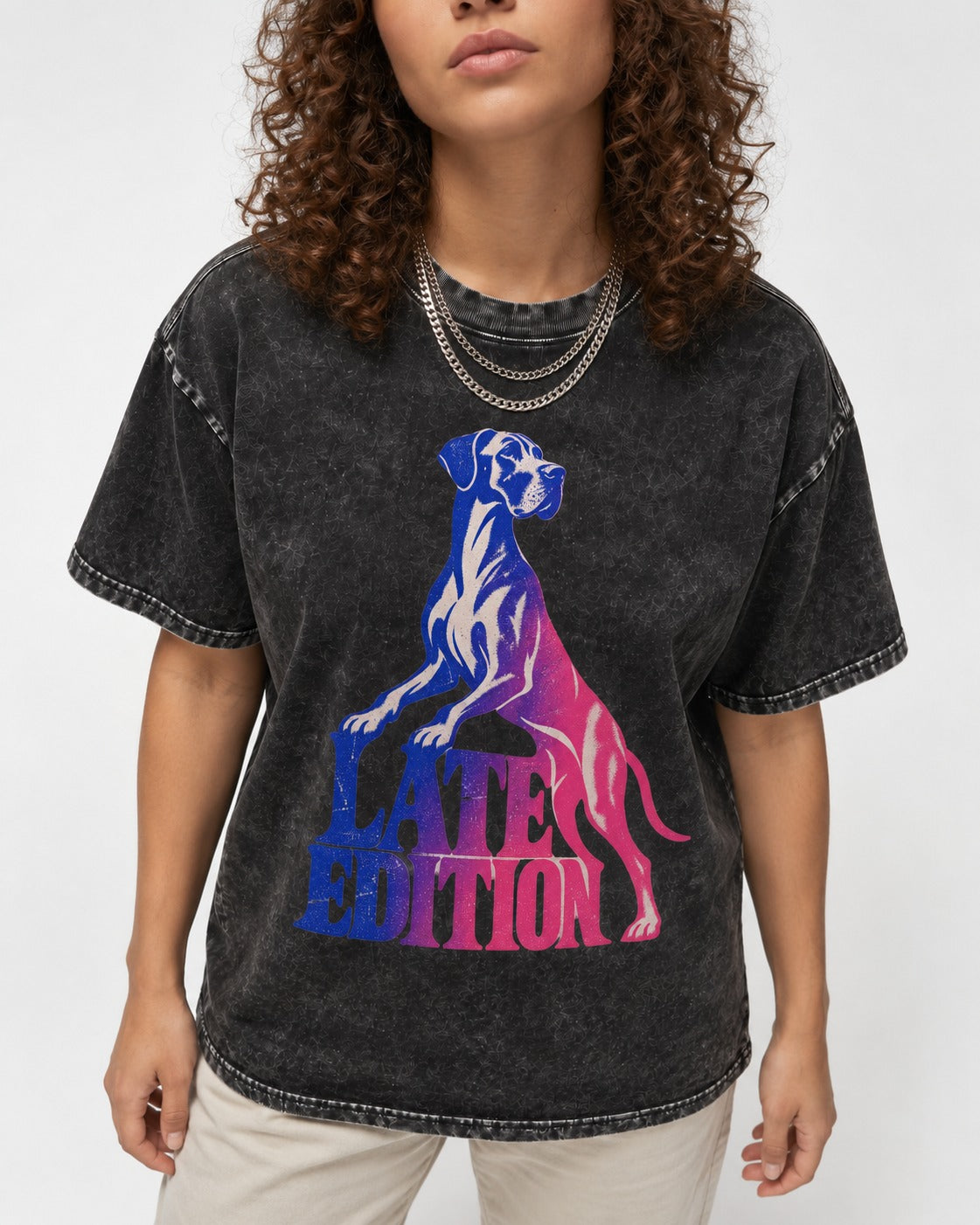 Great Dane Latest Edition Gradient Graphic Washed Tee in Black, worn by a model, front view