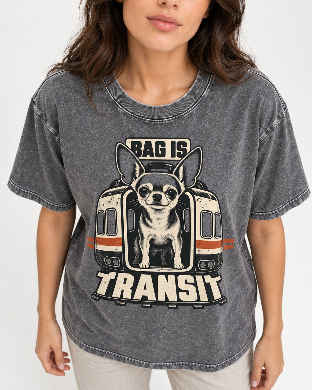 Chihuahua Bag Is Transit Train Front Graphic Washed Tee in Gray, worn by a model, front view