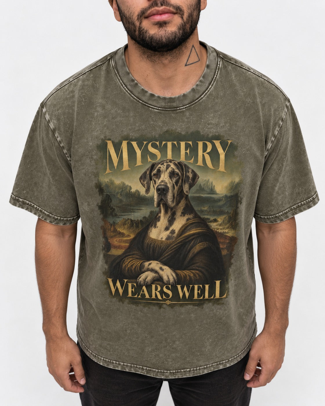 Great Dane Mystery Wears Well Renaissance Portrait Graphic Washed Tee in Army Green, worn by a model, front view