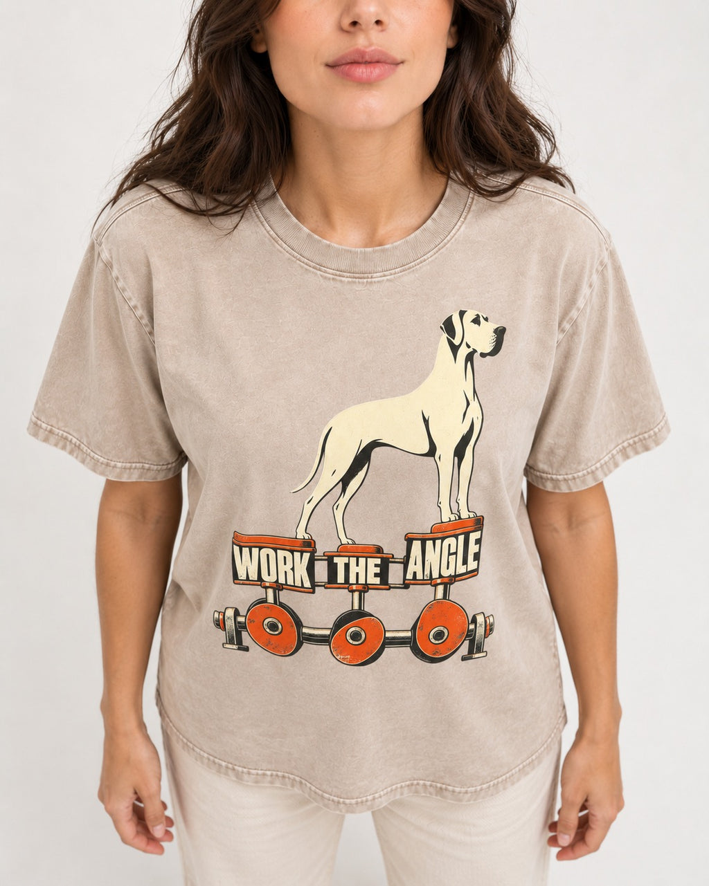 Great Dane Work the Angle Washed Tee in Apricot, worn by a model, front view