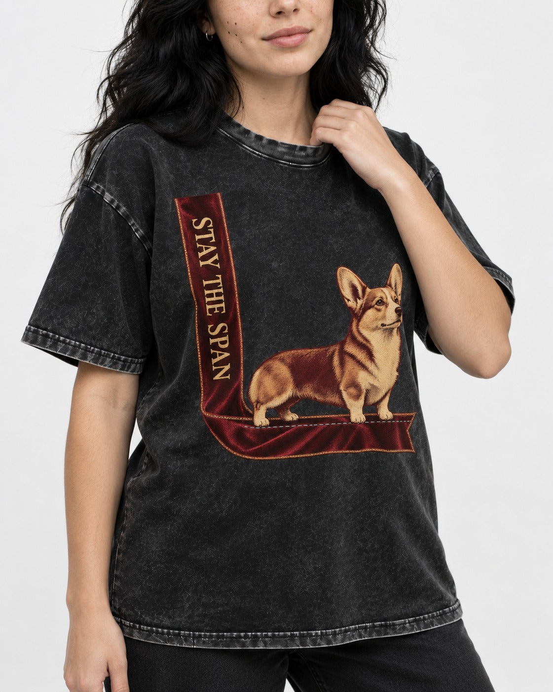 Corgi Stay the Span Ribbon Washed Tee in Black, worn by a model, front view