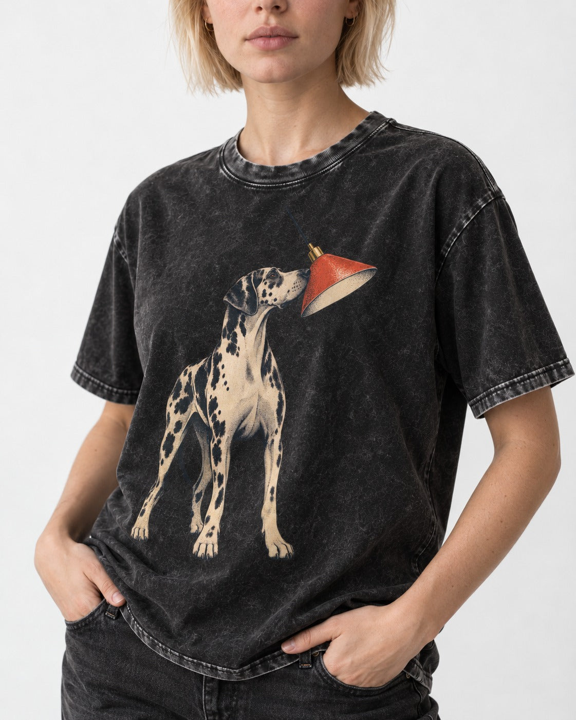 Great Dane Inspecting Hanging Lamp Graphic Washed Tee in Black, worn by a model, front view