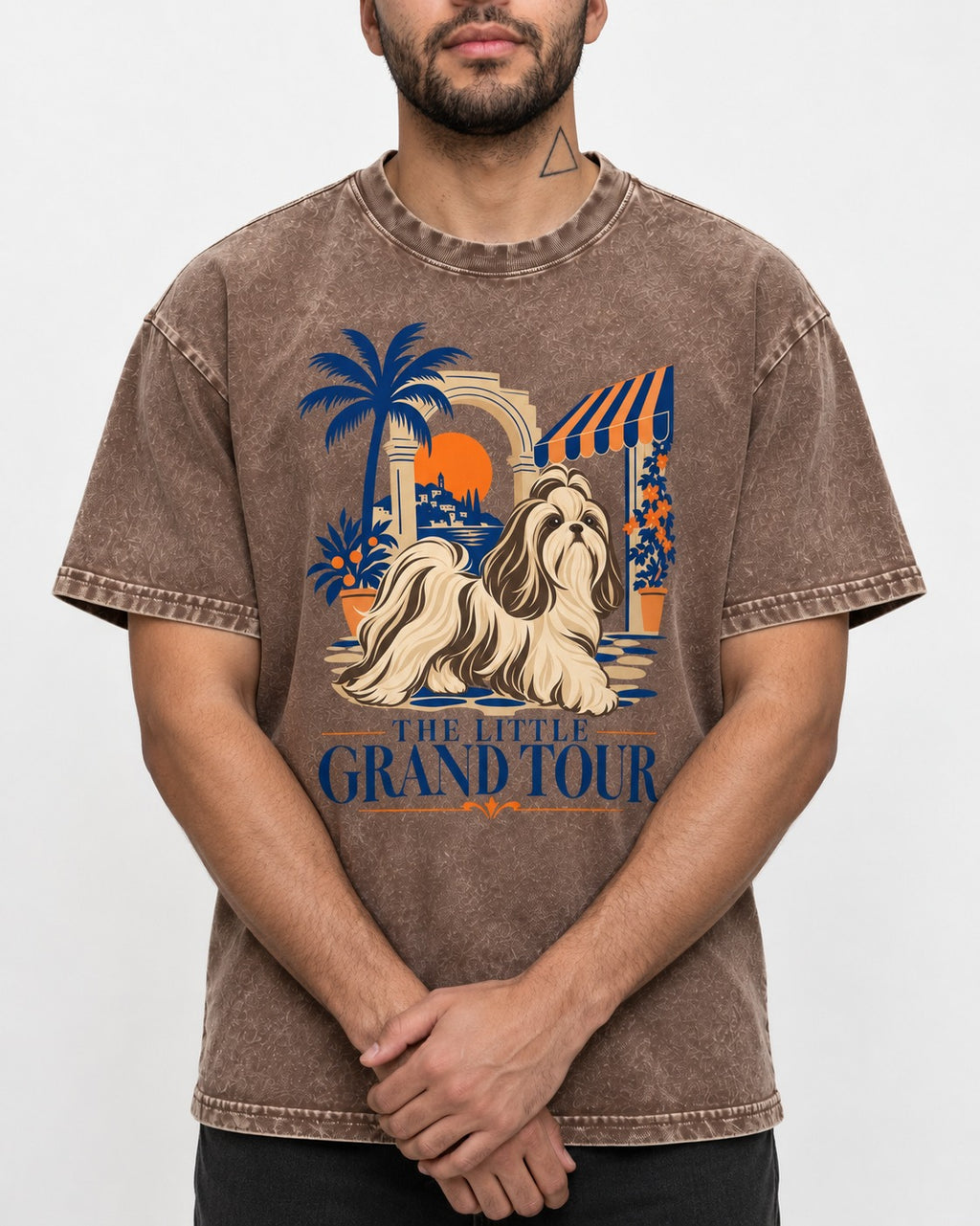 Shih Tzu The Little Grand Tour Mediterranean Courtyard Graphic Washed Tee in Coffee, worn by a model, front view