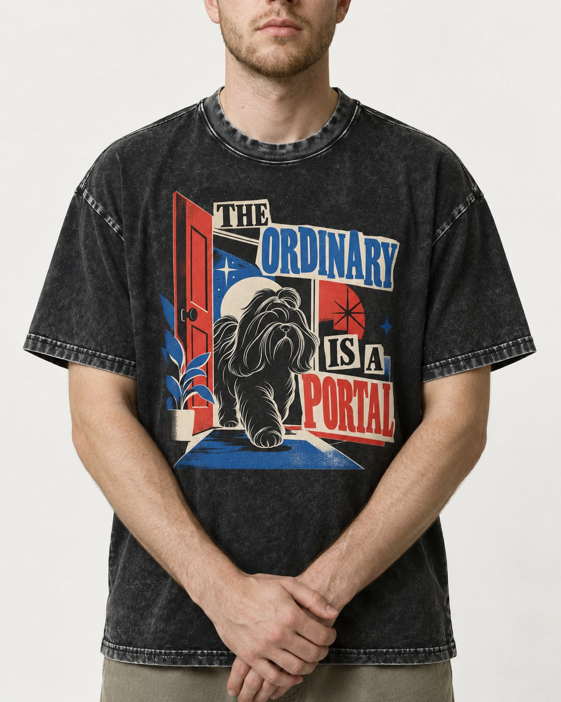 Shih Tzu The Ordinary Is a Portal Door Graphic Washed Tee in Black, worn by a model, front view