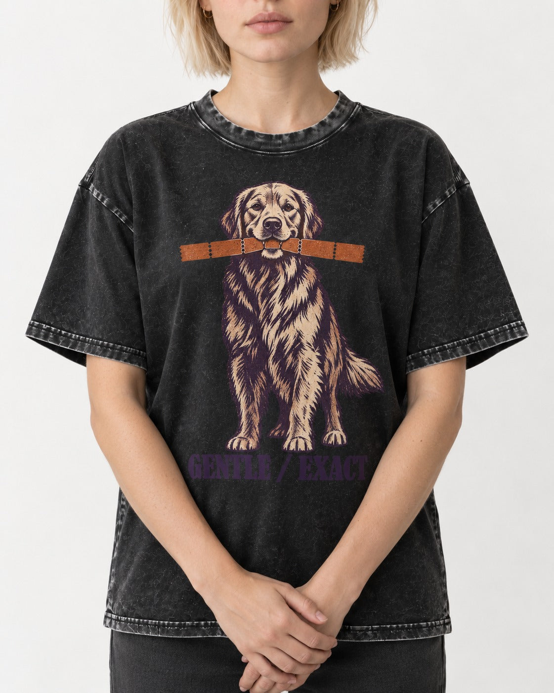 Golden Retriever Gentle Exact Paper Bridge Graphic Washed Tee in Black, worn by a model, front view
