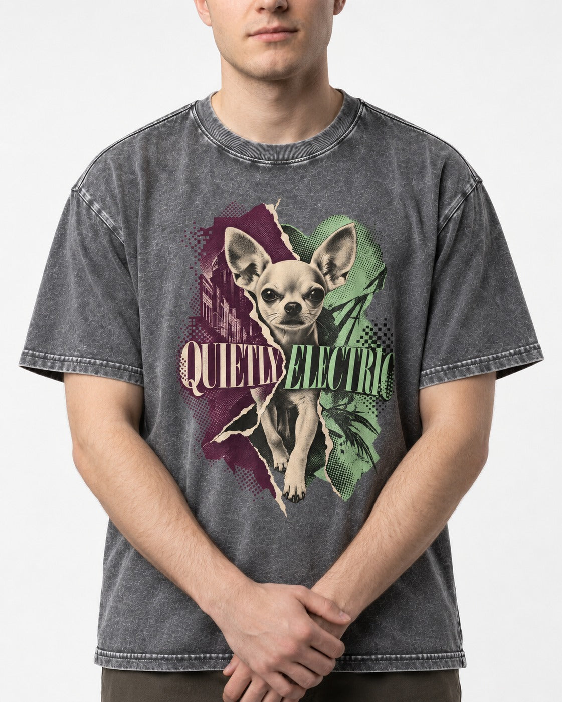 Chihuahua Quietly Electric Washed Tee in Gray, worn by a model, front view