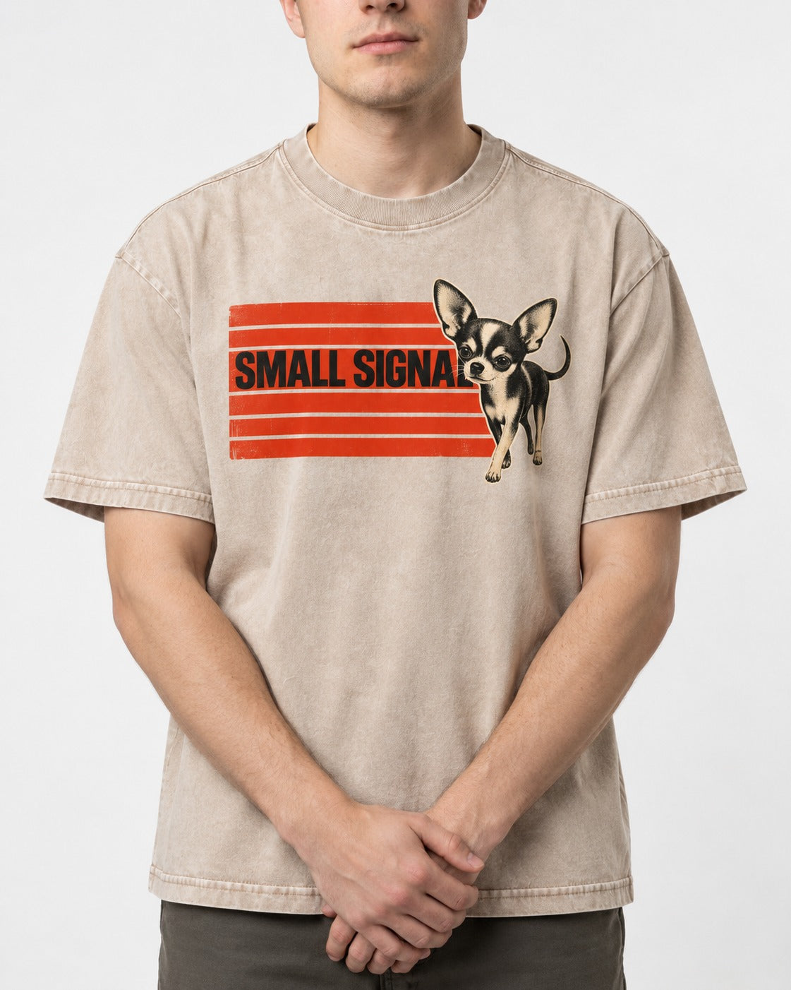 Small Signal Chihuahua Washed Tee in Apricot, worn by a model, front view