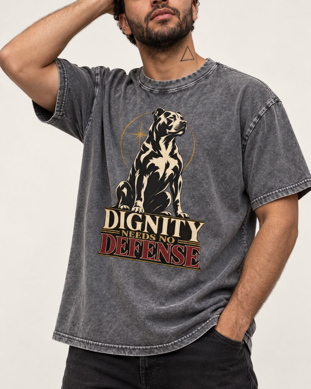 Pitbull Dignity Needs No Defense Seated Emblem Graphic Washed Tee in Gray, worn by a model, front view