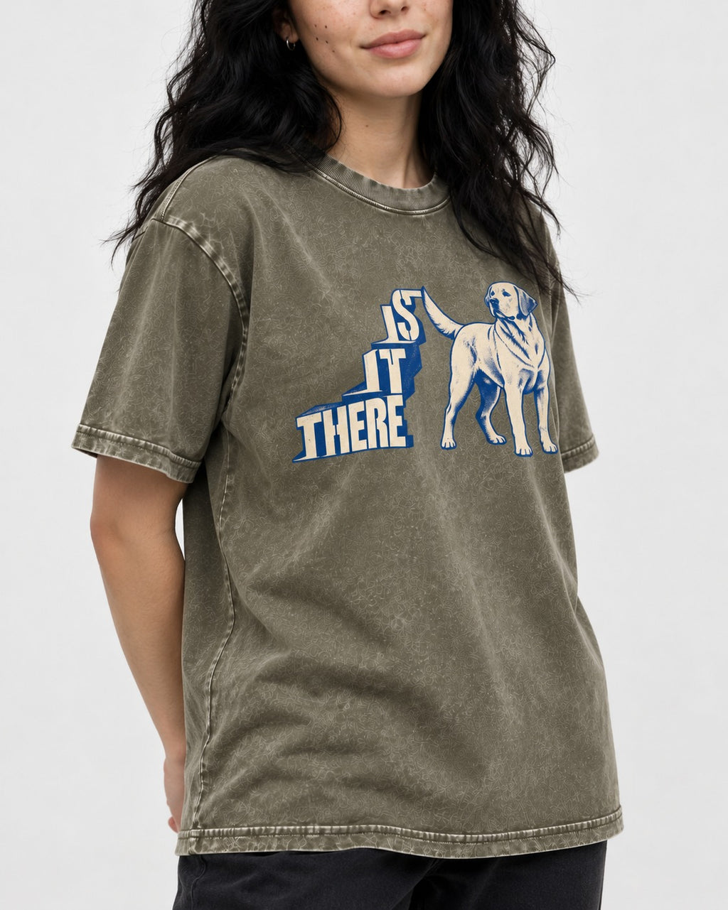 Labrador Retriever Is It There Stair-Step Graphic Washed Tee in Army Green, worn by a model, front view