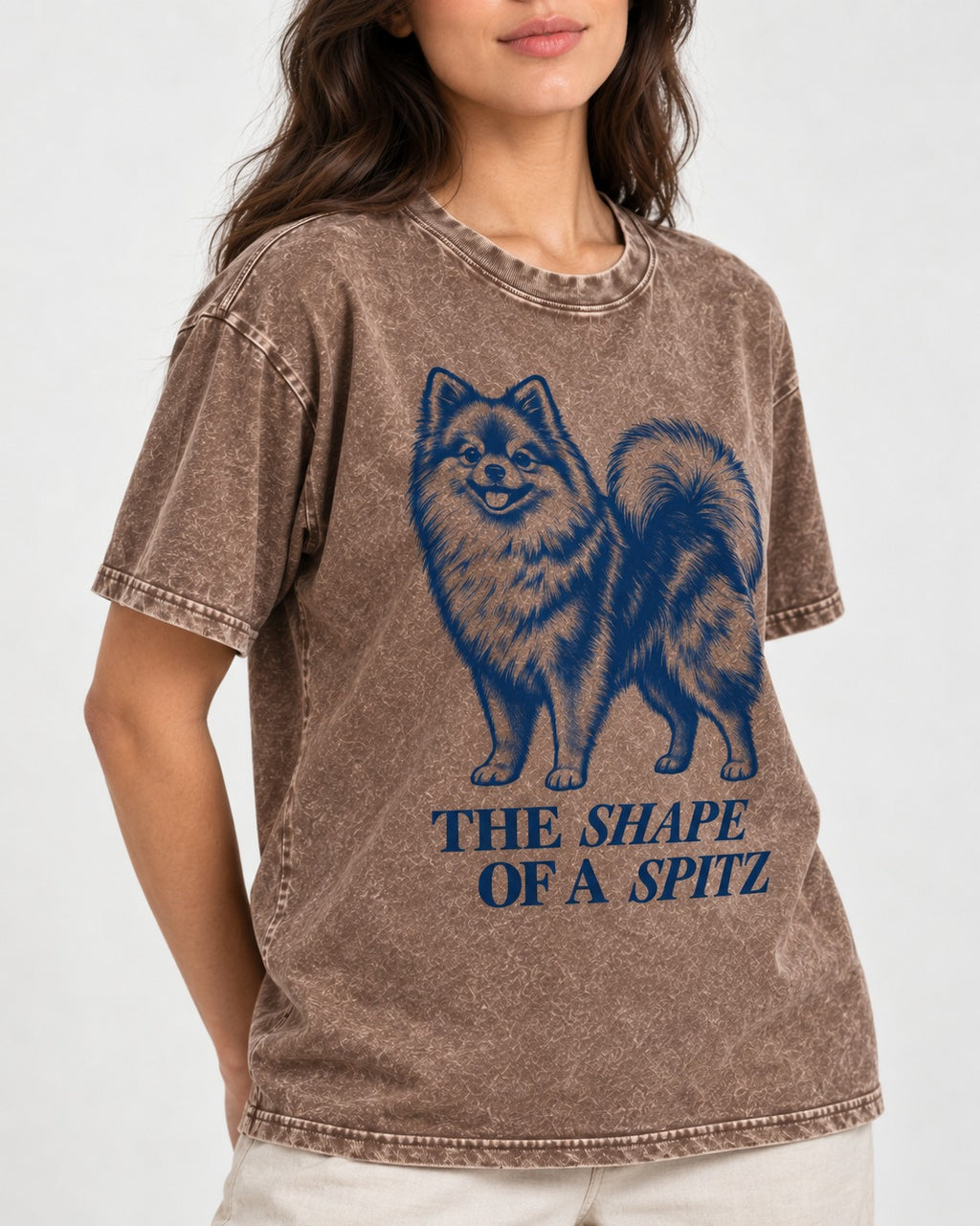 The Shape of a Pomeranian Washed Tee in Coffee, worn by a model, front view