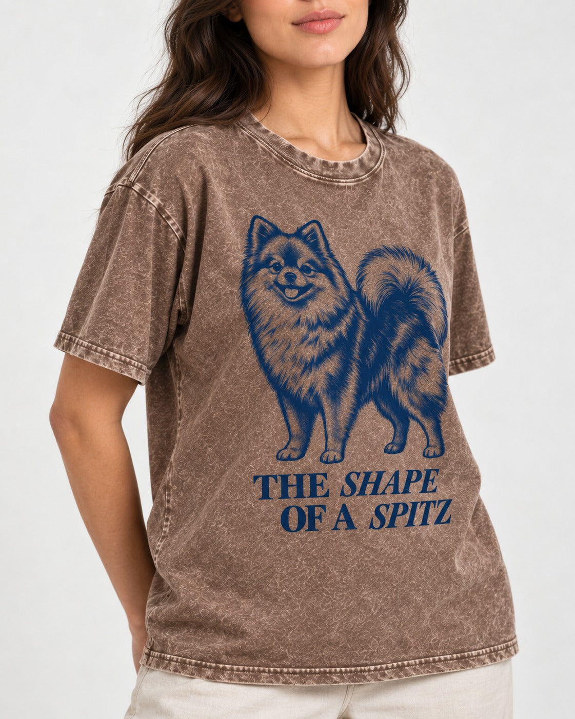 The Shape of a Pomeranian Washed Tee in Coffee, worn by a model, front view