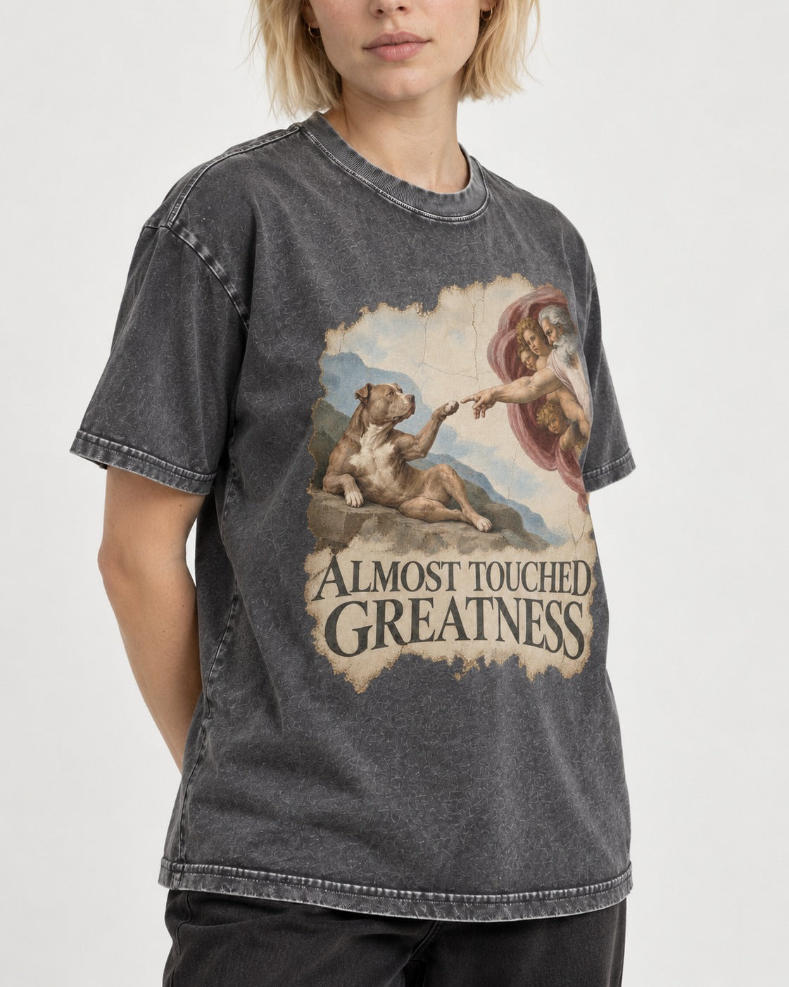 Pitbull Almost Touched Greatness Creation Parody Graphic Washed Tee in Gray, worn by a model, front view