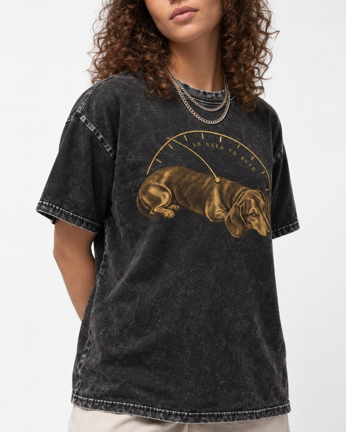 Dachshund No Need To Rush Gauge Graphic Washed Tee in Black, worn by a model, front view