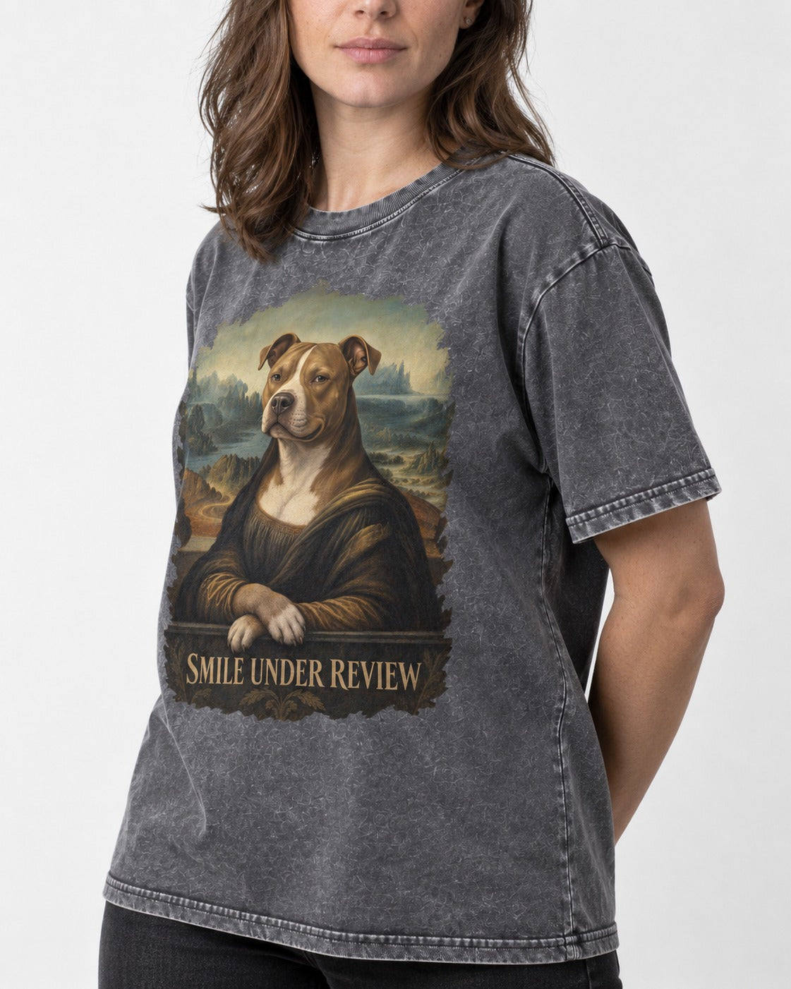 Pitbull Smile Under Review Renaissance Portrait Graphic Washed Tee in Gray, worn by a model, front view