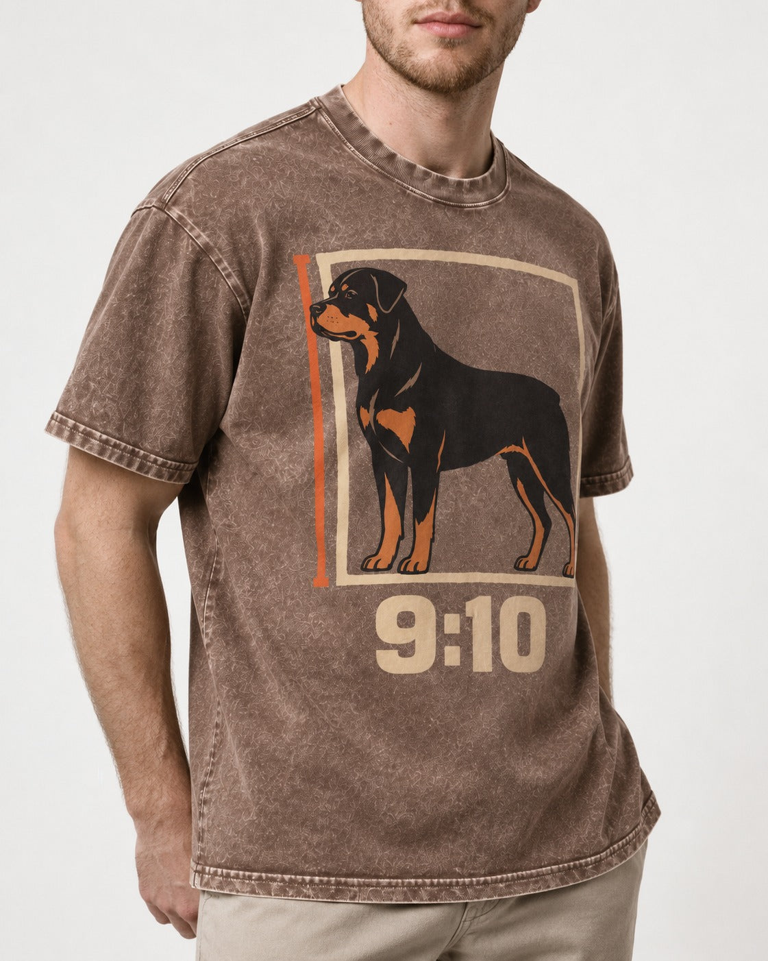 Nine Ten Rottweiler Proportion Frame Graphic Washed Tee in Coffee, worn by a model, front view