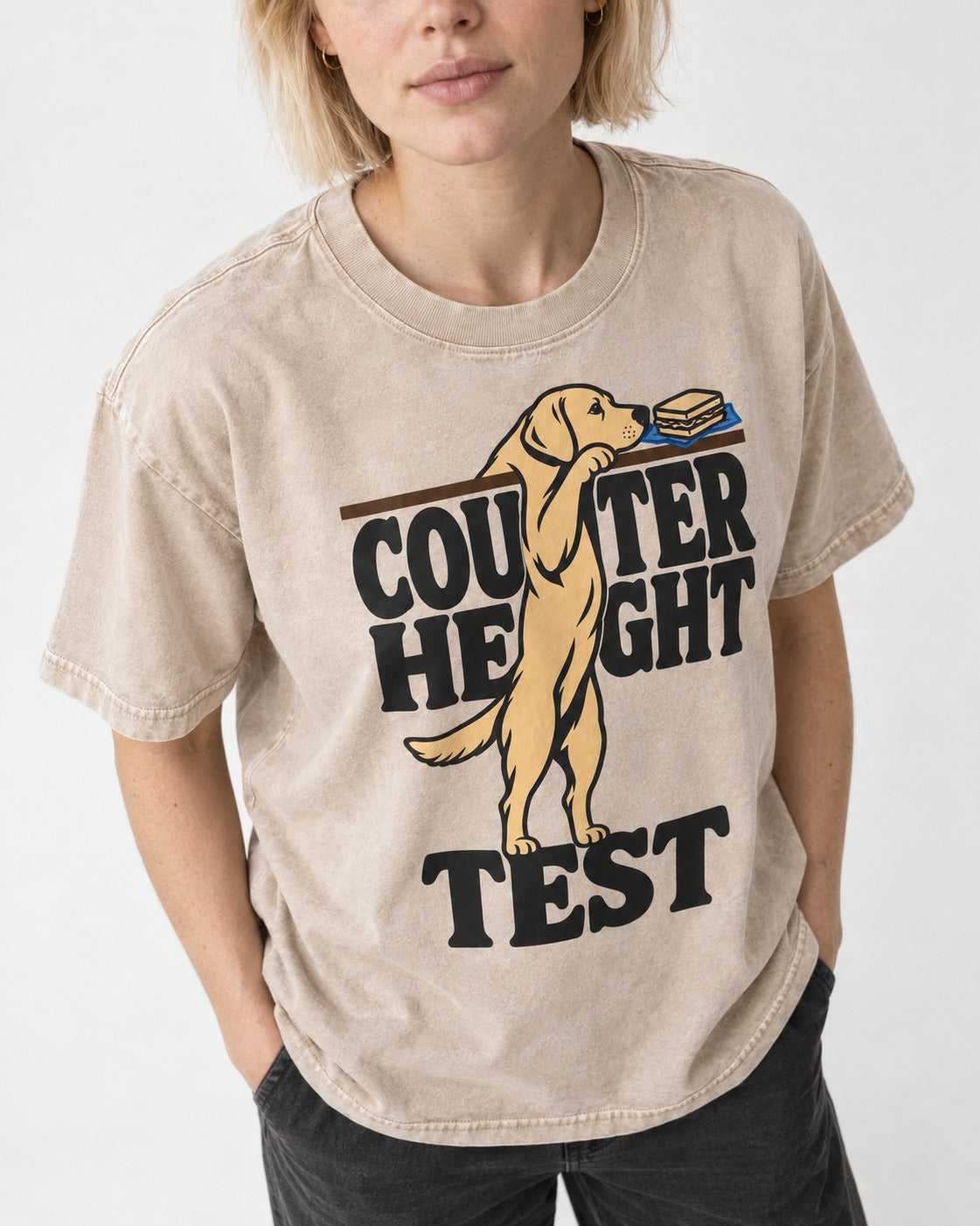 Labrador Retriever Counter Height Test Washed Tee in Apricot, worn by a model, front view