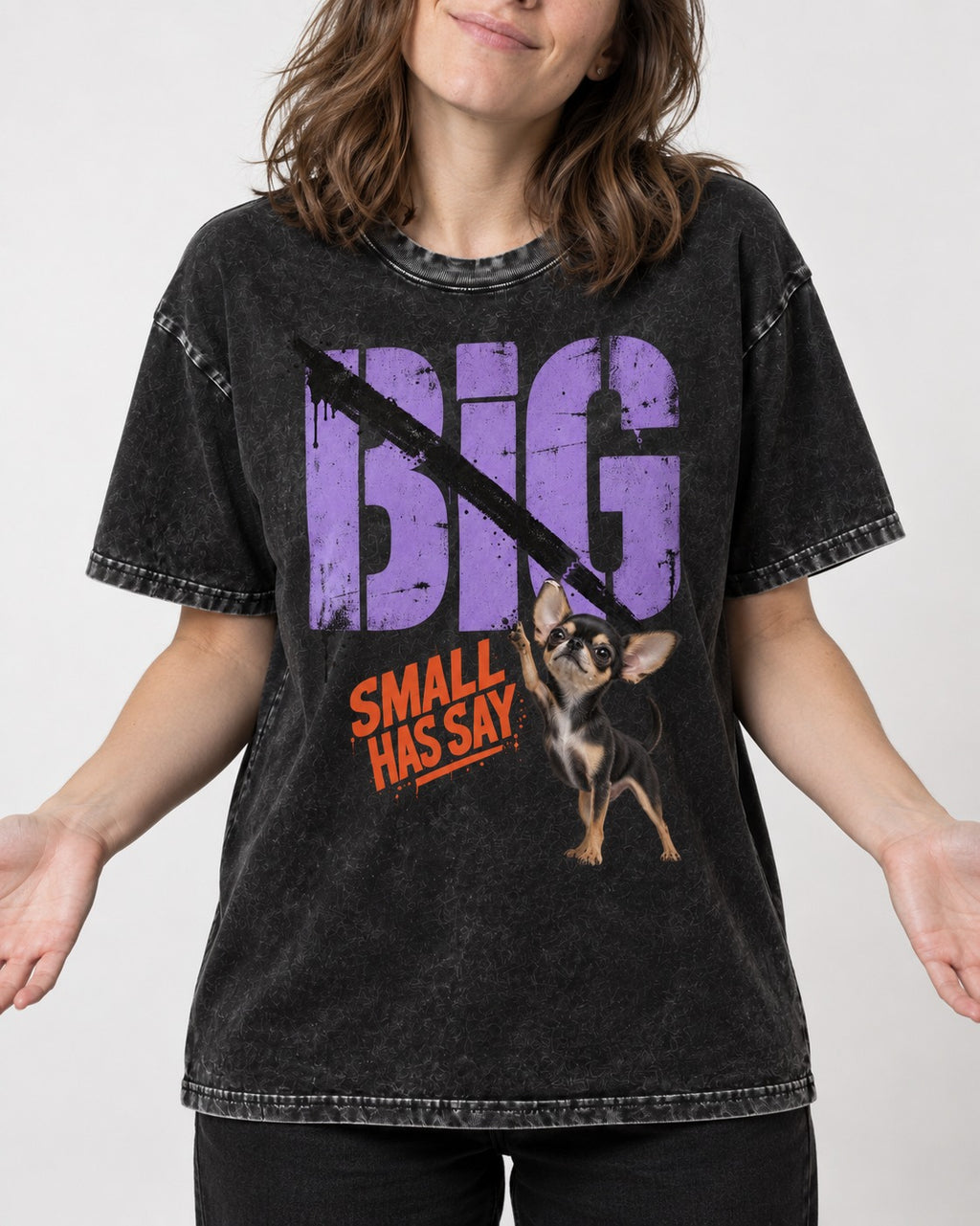 Chihuahua Big Small Has Say Diagonal Slash Graphic Washed Tee in Black, worn by a model, front view