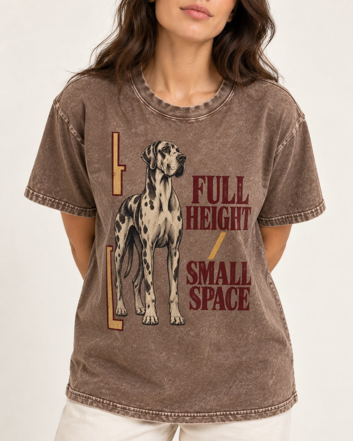 Great Dane Full Height Small Space Washed Tee in Coffee, worn by a model, front view