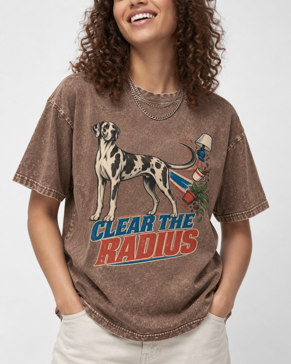 Great Dane Clear the Radius Washed Tee in Coffee, worn by a model, front view
