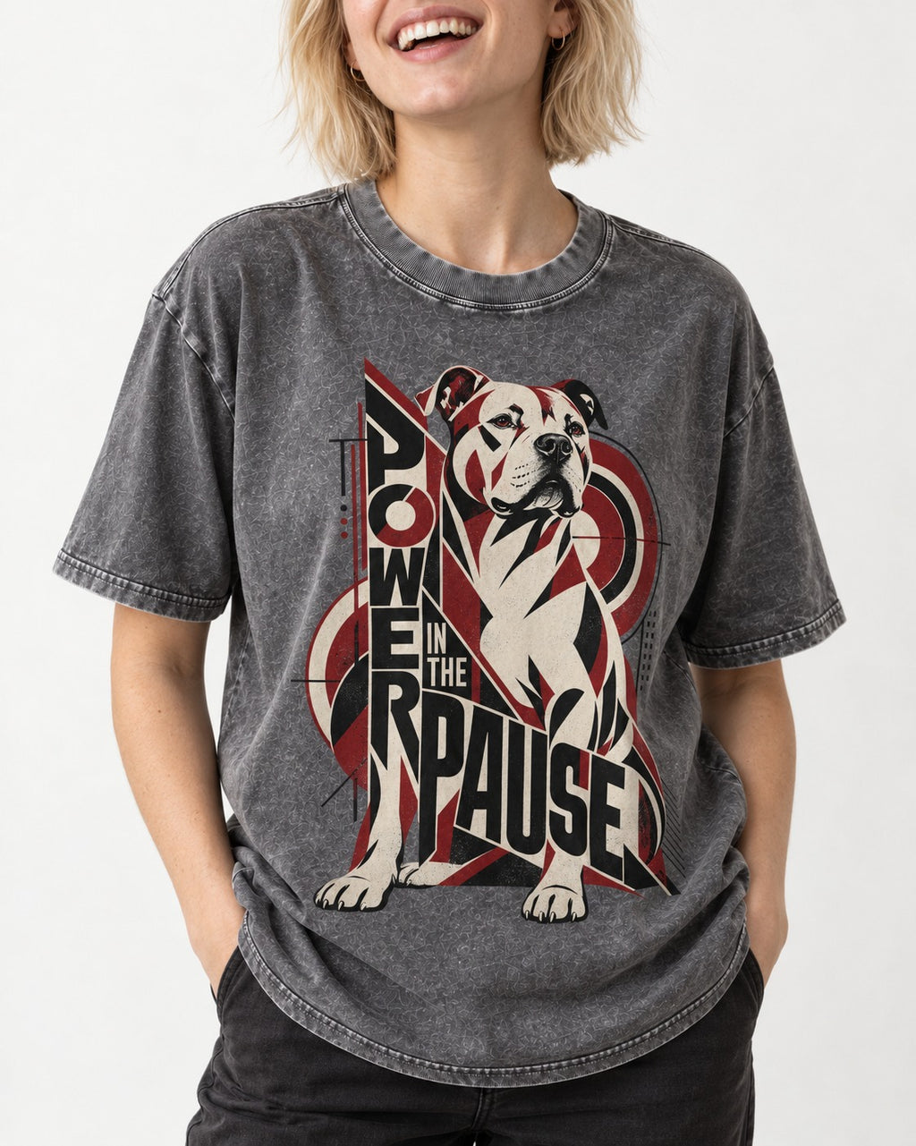 Pitbull Power in the Pause Geometric Graphic Washed Tee in Gray, worn by a model, front view