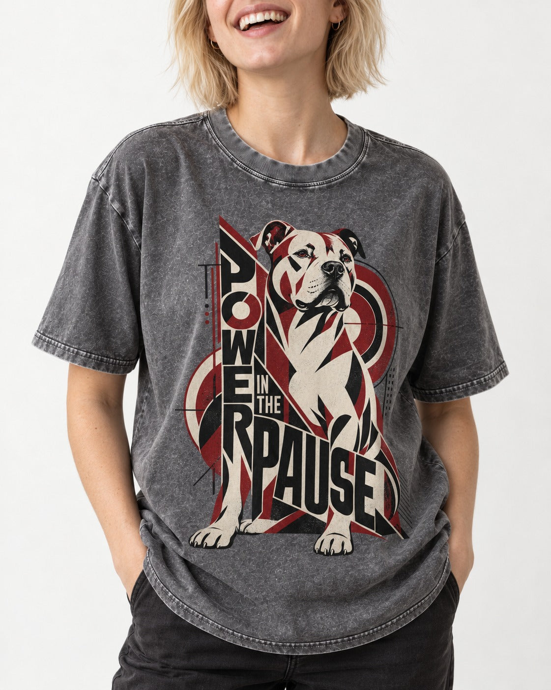 Pitbull Power in the Pause Geometric Graphic Washed Tee in Gray, worn by a model, front view