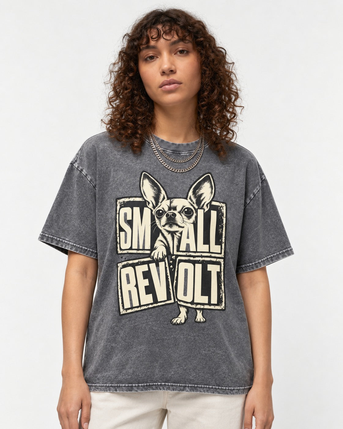 Chihuahua Small Revolt Broken Grid Graphic Washed Tee in Gray, worn by a model