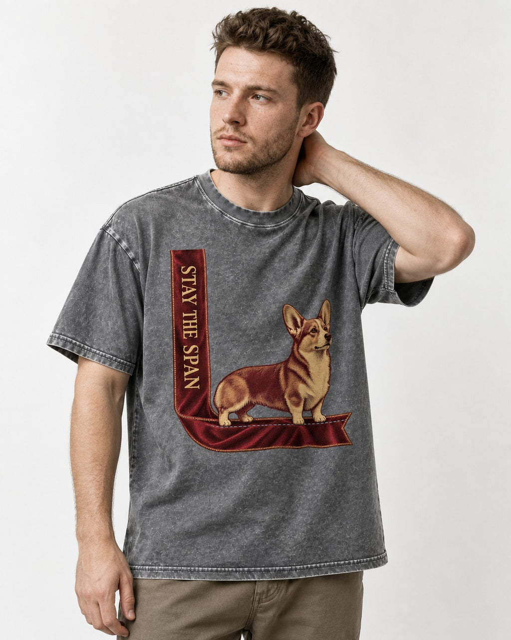 Corgi Stay the Span Ribbon Washed Tee in Gray, worn by a model